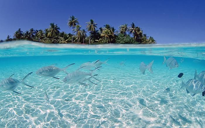 images 22